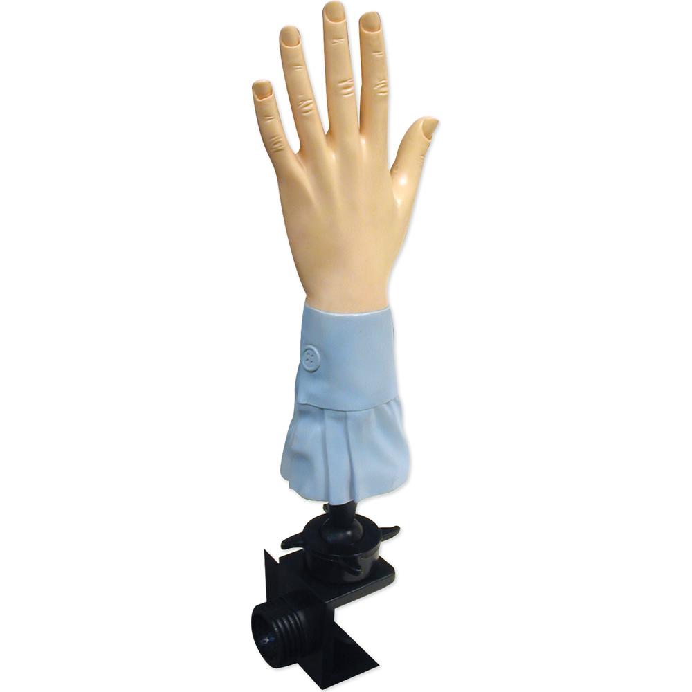 Celebrity Manicure Hand W2 Way Holder (BX917)