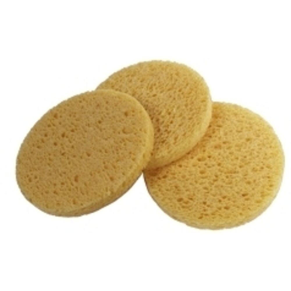 Non-Compressed Sponge 10 Pack