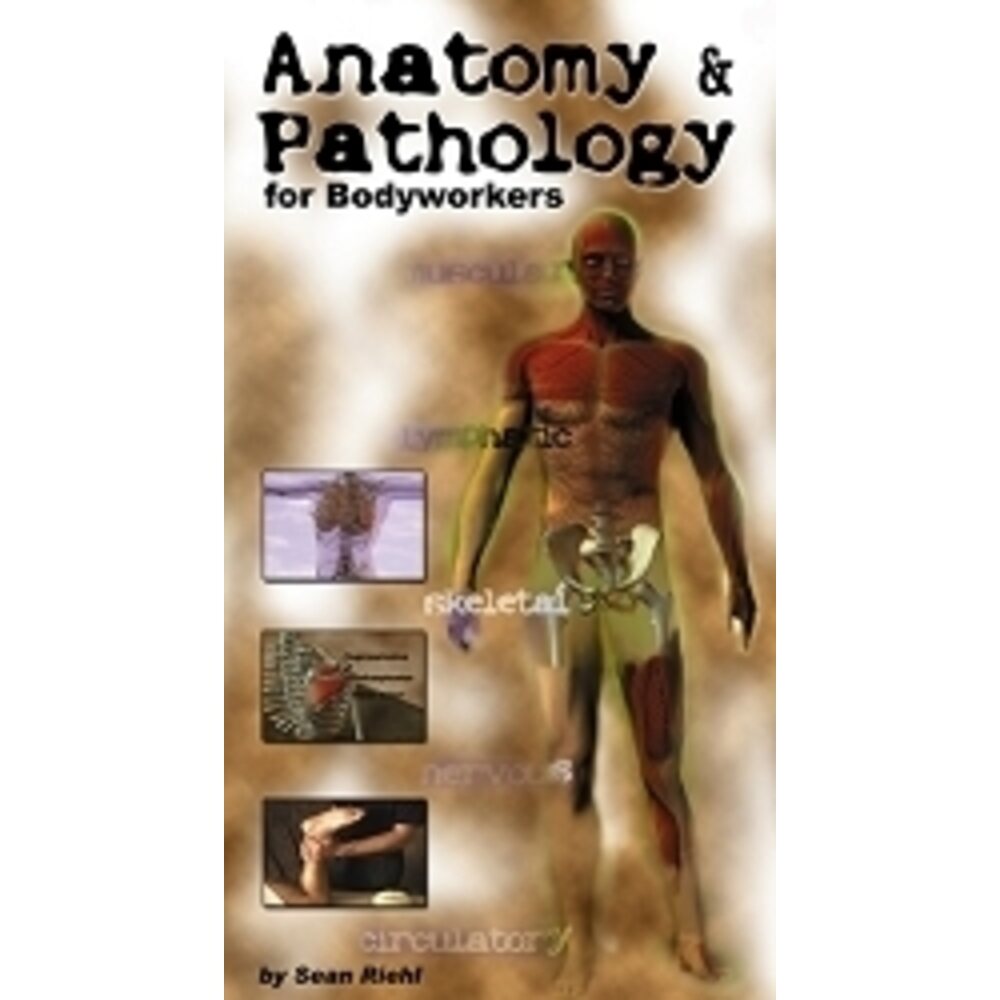 Anatomy & Pathology DVD