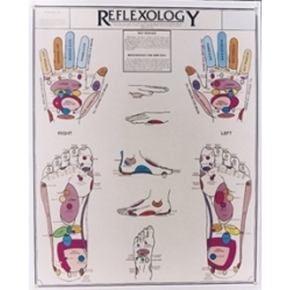 Reflexology Chart