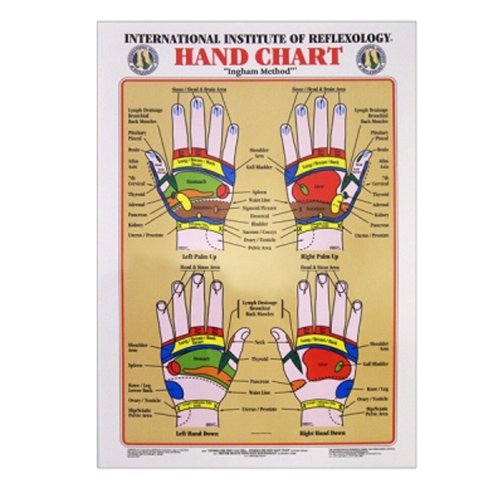 Int. Institute Of Reflexology Hand Chart 23