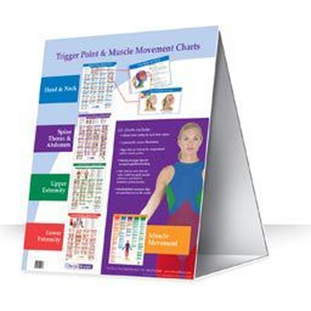 Flip Charts - David Kent Set (573 0096)