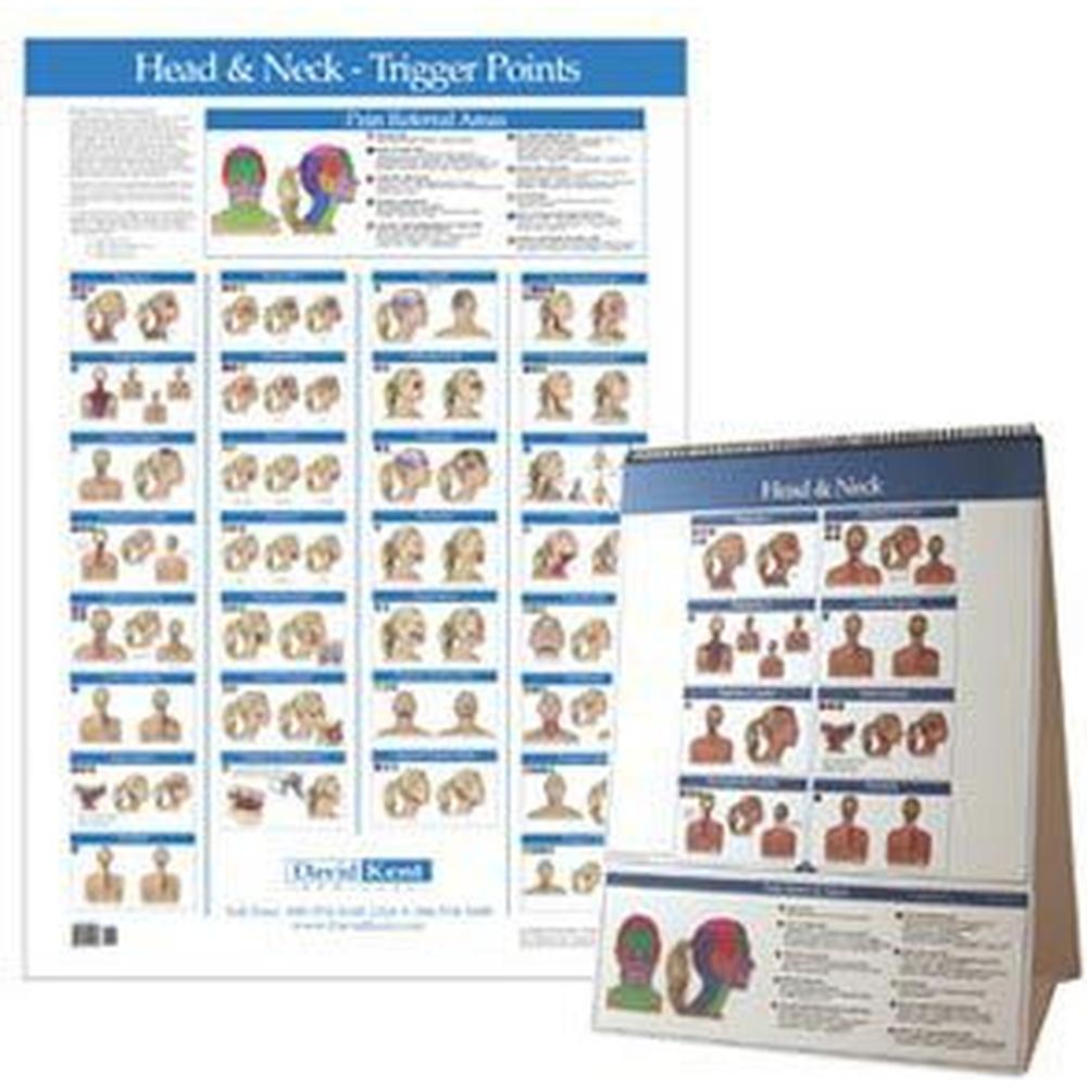 Trigger Point Chart Head & Neck (573 0136)