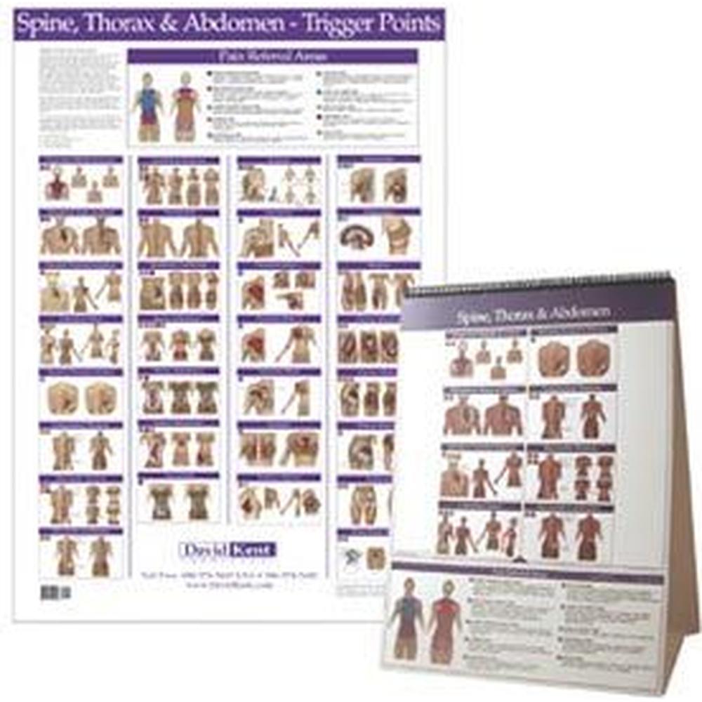 Trigger Point Chart TorsoSpine (573 0137)