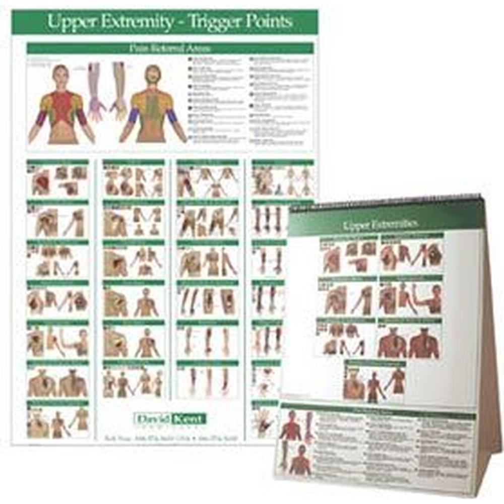 Trigger Point Chart Upper Extremity (573 0138)