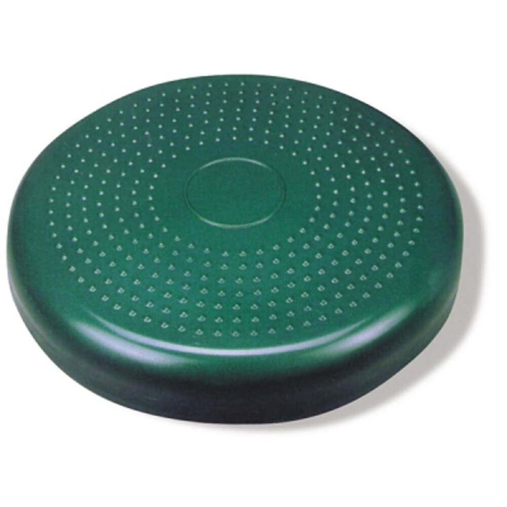 Inflatable Sitting And Standing Vestibular Disc (8